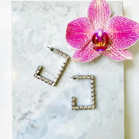 DANNIJO Archer Silverplated & Swarovski Crystal Hoop Earrings NWT - Picture 11 of 17